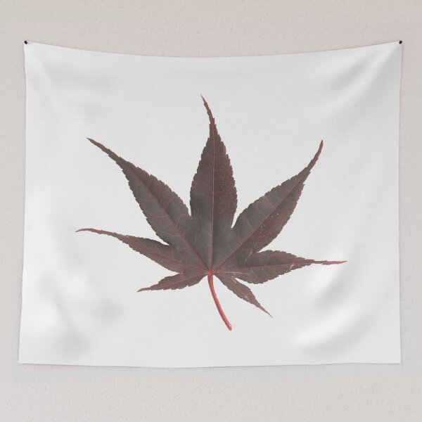 Item preview, Japanese Maple Leaf designed and sold by tvorac.