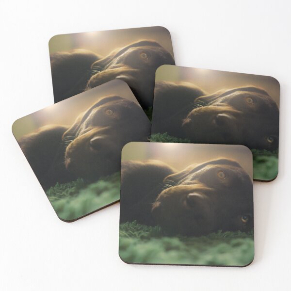 Item preview, Labrador designed and sold by hansia365.