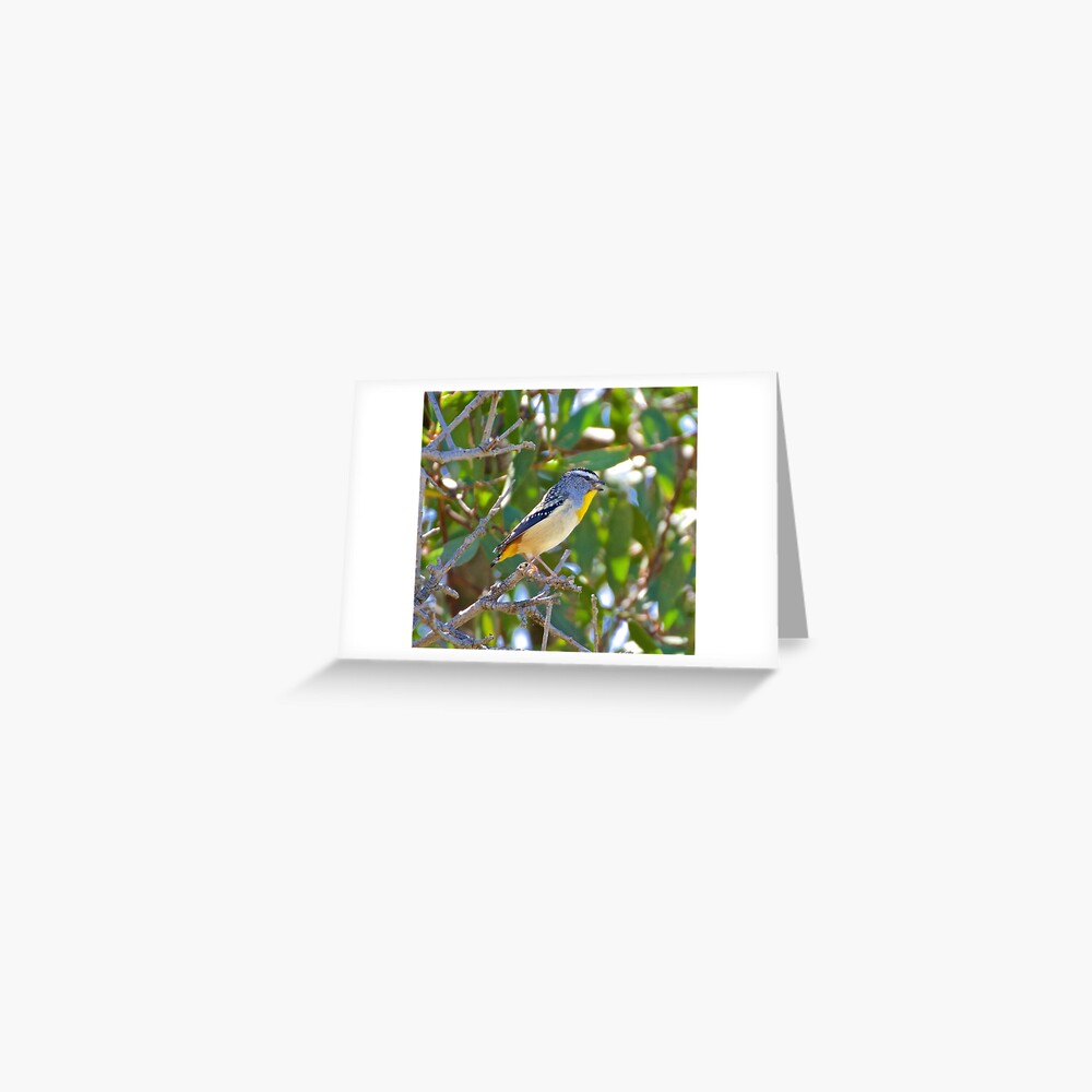 Item preview, Greeting Card designed and sold by tasmanianartist.