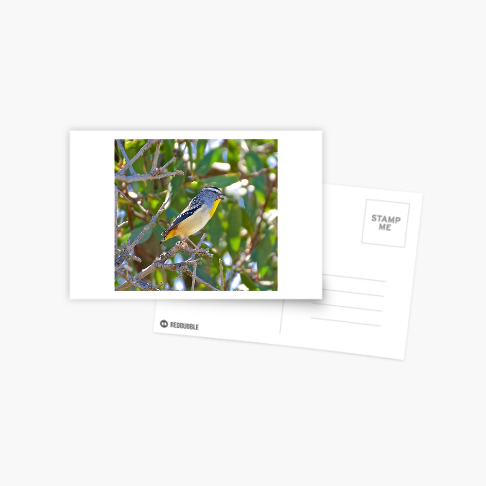 Item preview, Postcard designed and sold by tasmanianartist.