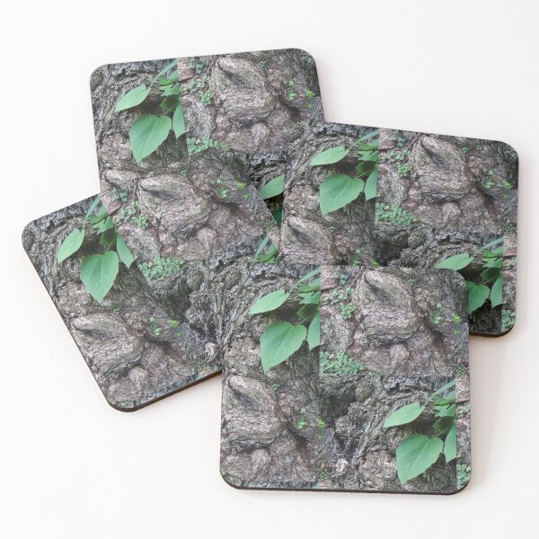 Item preview, Textura de corteza de árbol, fotografía de la naturaleza por Courtney Hatcher designed and sold by cghatcherart.