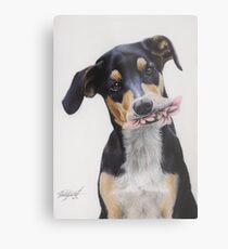 Max, Pastel Dog Portrait Metal Print
