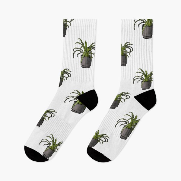 Item preview, Birds Nest Fern Watercoloc Illustration designed and sold by laurenthimmesch.