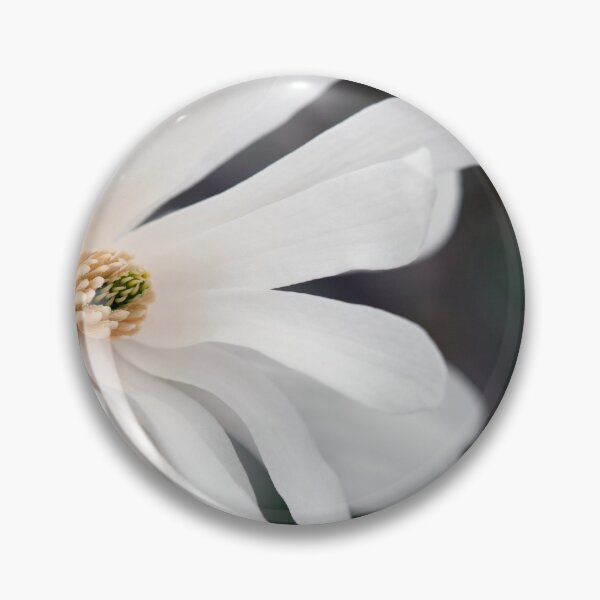 Item preview, Star Magnolia designed and sold by Karol Livote.