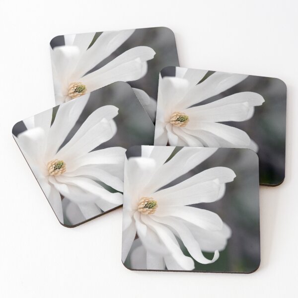 Item preview, Star Magnolia designed and sold by Karol Livote.