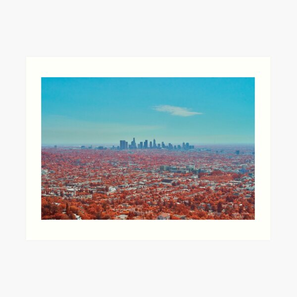 Los Angeles in Aerochrome Art Print