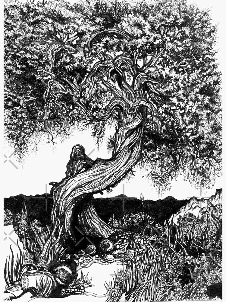 Twisted Juniper by djsmith70