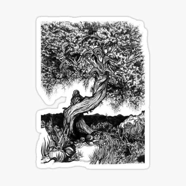 Twisted Juniper Tree – Hand-Drawn Ink Illustration Sticker
