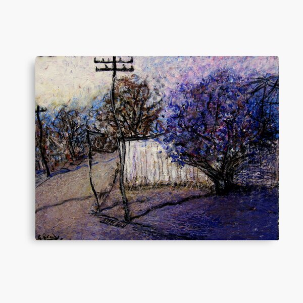 tipacena tree Canvas Print