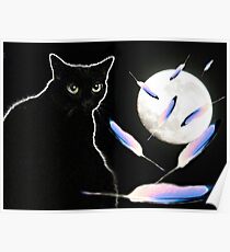 Bad Kitty Poster