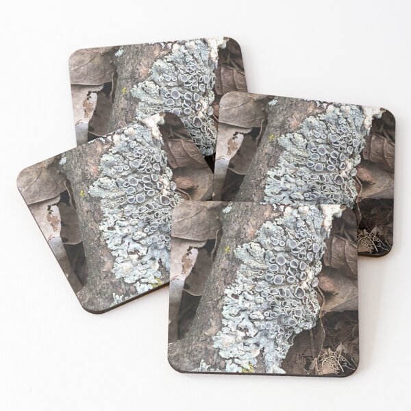 Item preview, Lichen in the Woods  designed and sold by Paula Betz.