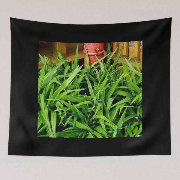 Item preview, Grassy Plants  designed and sold by GrudleBay.
