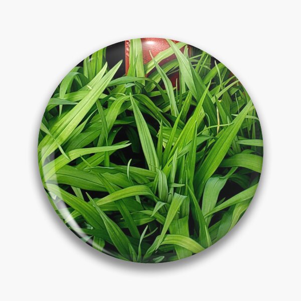 Item preview, Grassy Plants  designed and sold by GrudleBay.