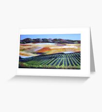 The Vineyard in a New Light Greeting Card