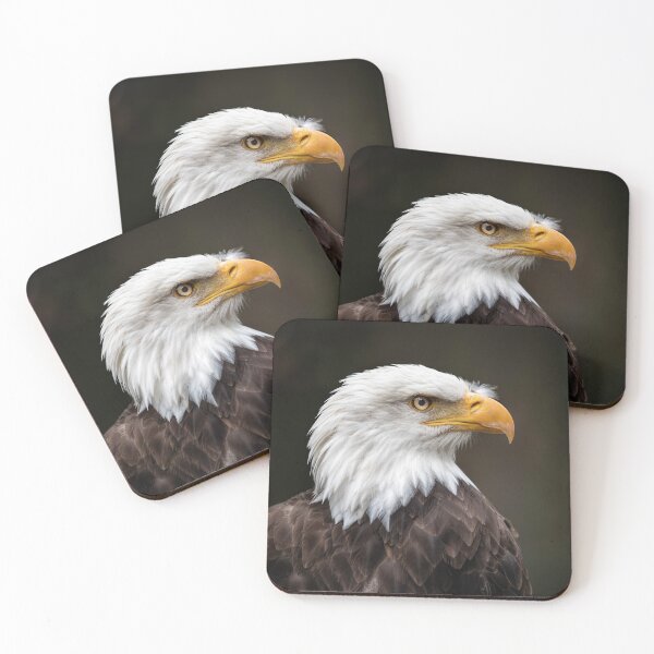 Item preview, Bald eagle designed and sold by pwa25.
