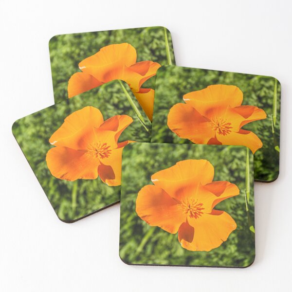 Item preview, "California Poppy" Image by Rich AMeN Gill designed and sold by RichAMeNGill.