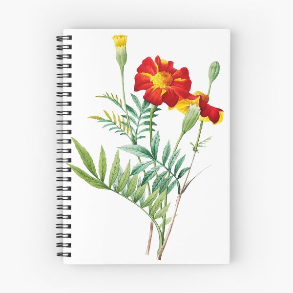 Item preview, Mexican (Oeillet d'Inde) designed and sold by BygoneBotanics.