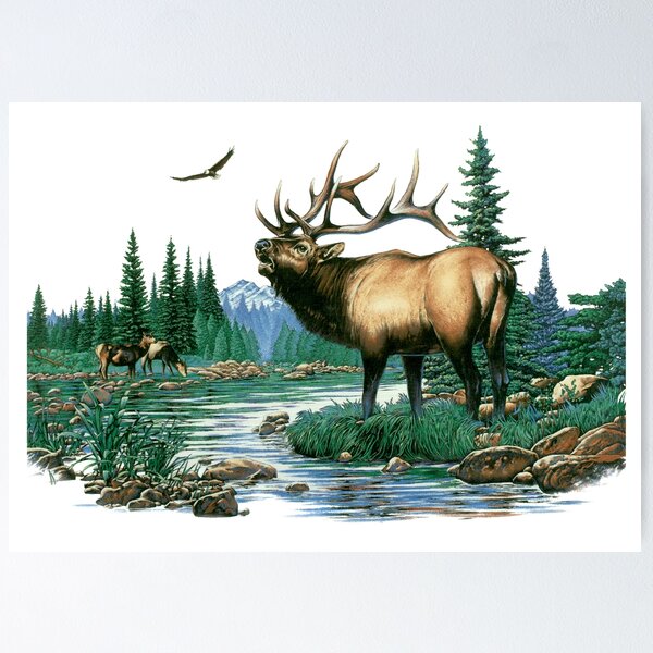 Realistic deer painting close up Art Board Print for Sale by