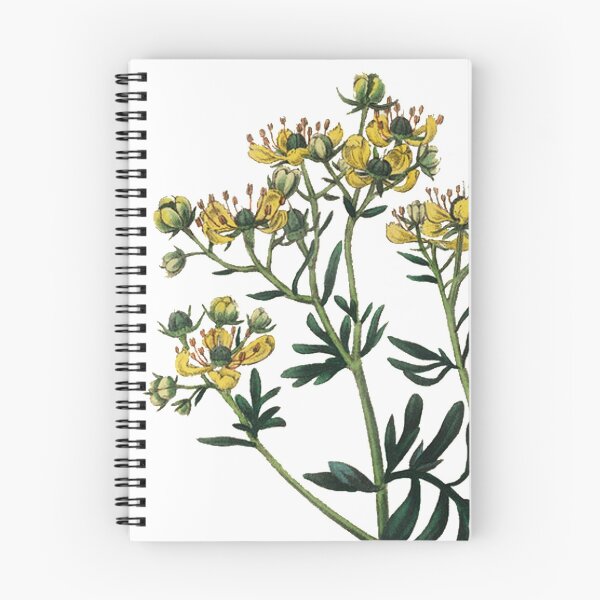 Item preview, Ruta graveolens designed and sold by BygoneBotanics.