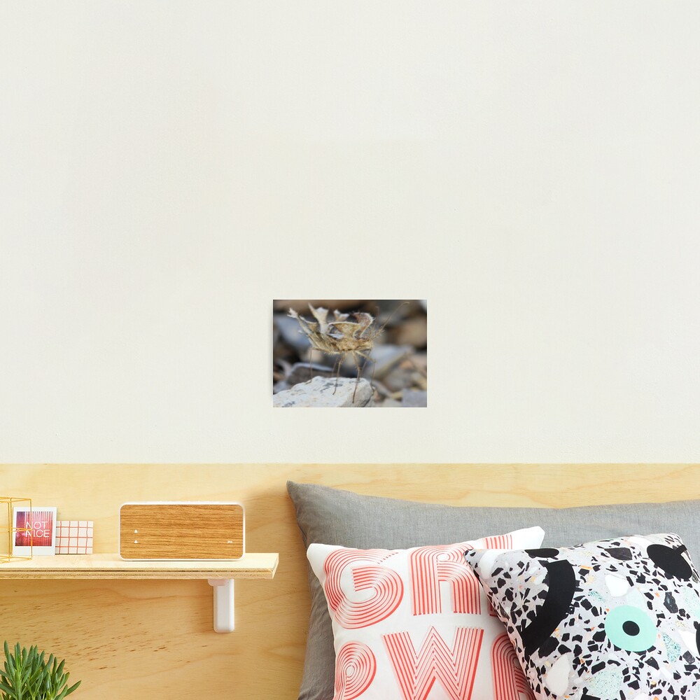 Item preview, Photographic Print designed and sold by RinaG.