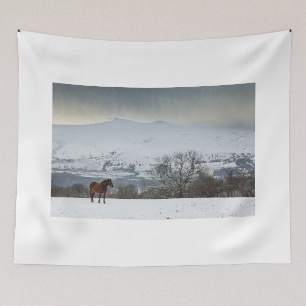 Item preview, Pen y Fan and Corn Du from Mynydd Illtyd, Brecon Beacons National Park designed and sold by Dan Santillo.