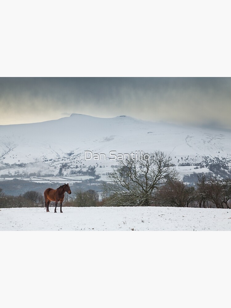 "Pen y Fan and Corn Du from Mynydd Illtyd, Brecon Beacons National Park