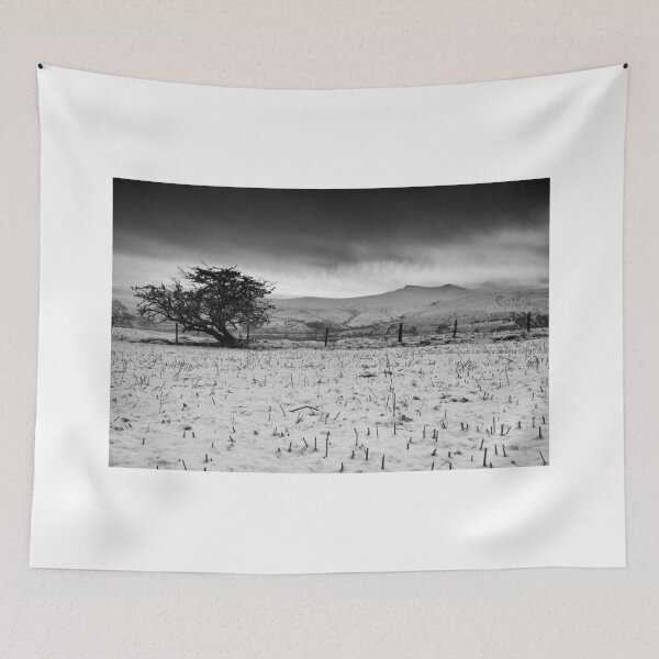 Item preview, Pen y Fan and Corn Du from Mynydd Illtyd, Brecon Beacons designed and sold by Dan Santillo.