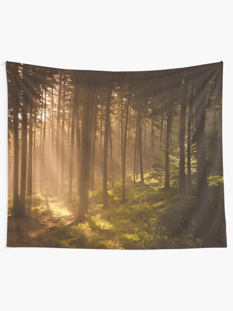 Alternate view of Morning forest Tapestry