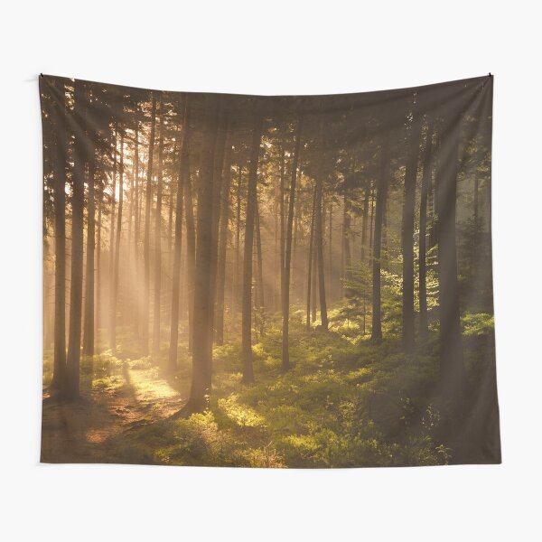 Tapestries for Sale | Redbubble