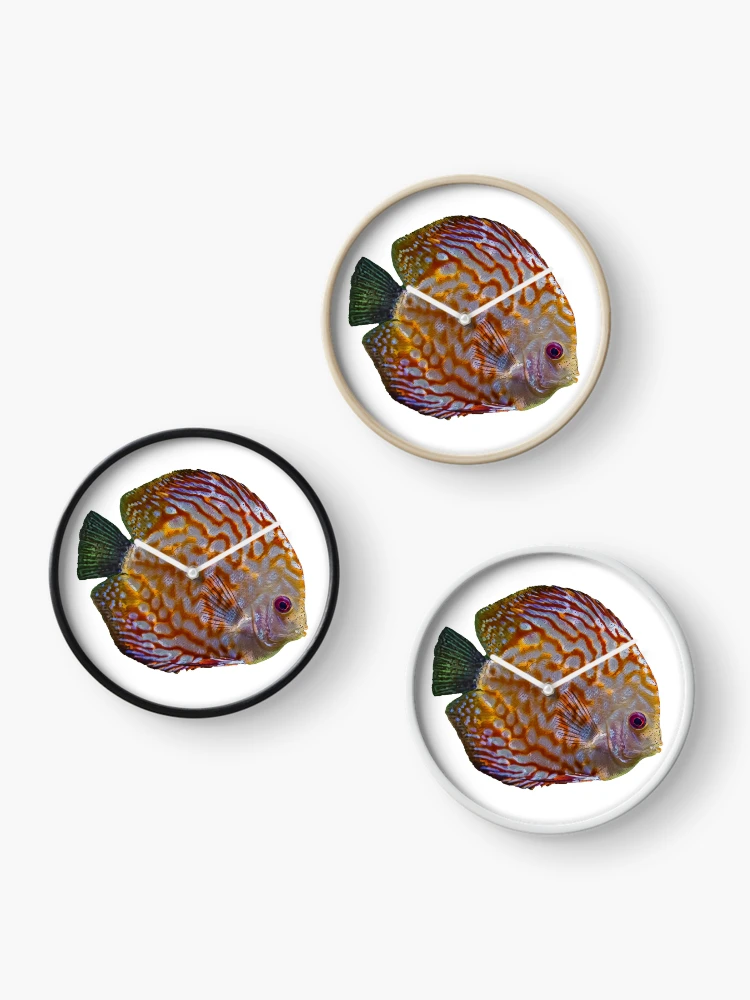 Thumbnail 3 of 4, Clock, Turquoise Discus Fish designed and sold by cooolcontent.