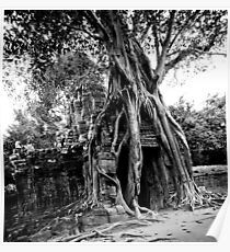 Ta Prohm Poster