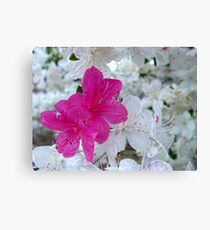 Misfit Canvas Print