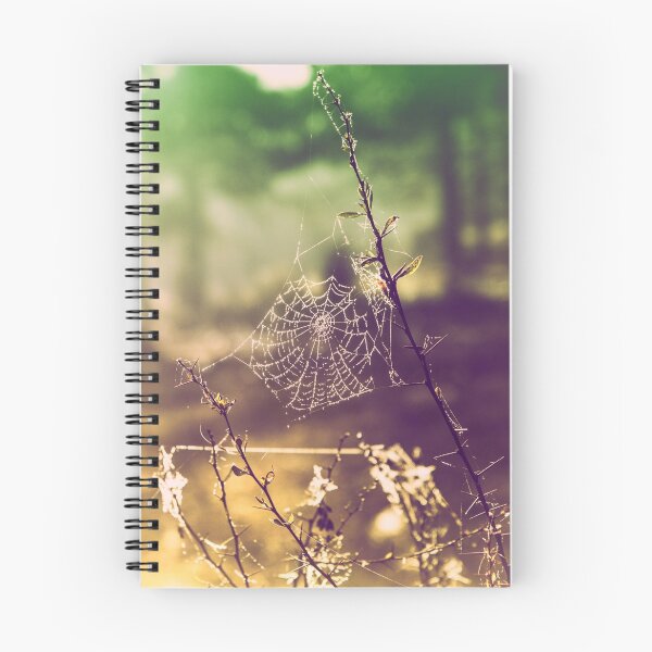 Item preview, Spider Web designed and sold by hayrettinsokmen.