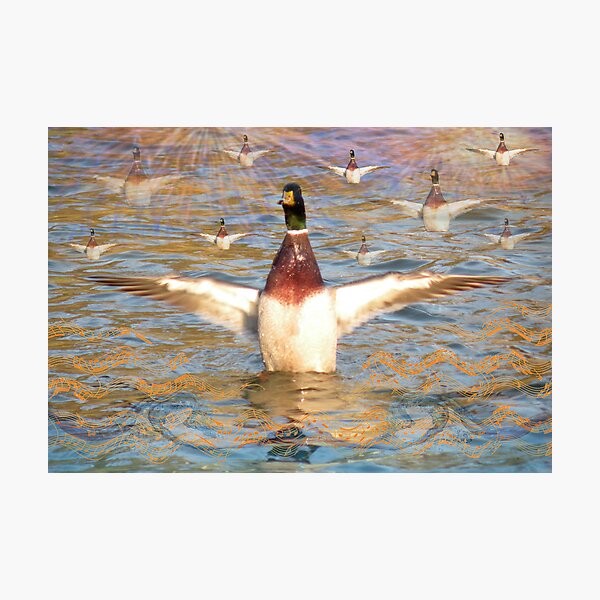 The Conducktor Photographic Print