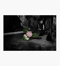 Casper Photographic Print