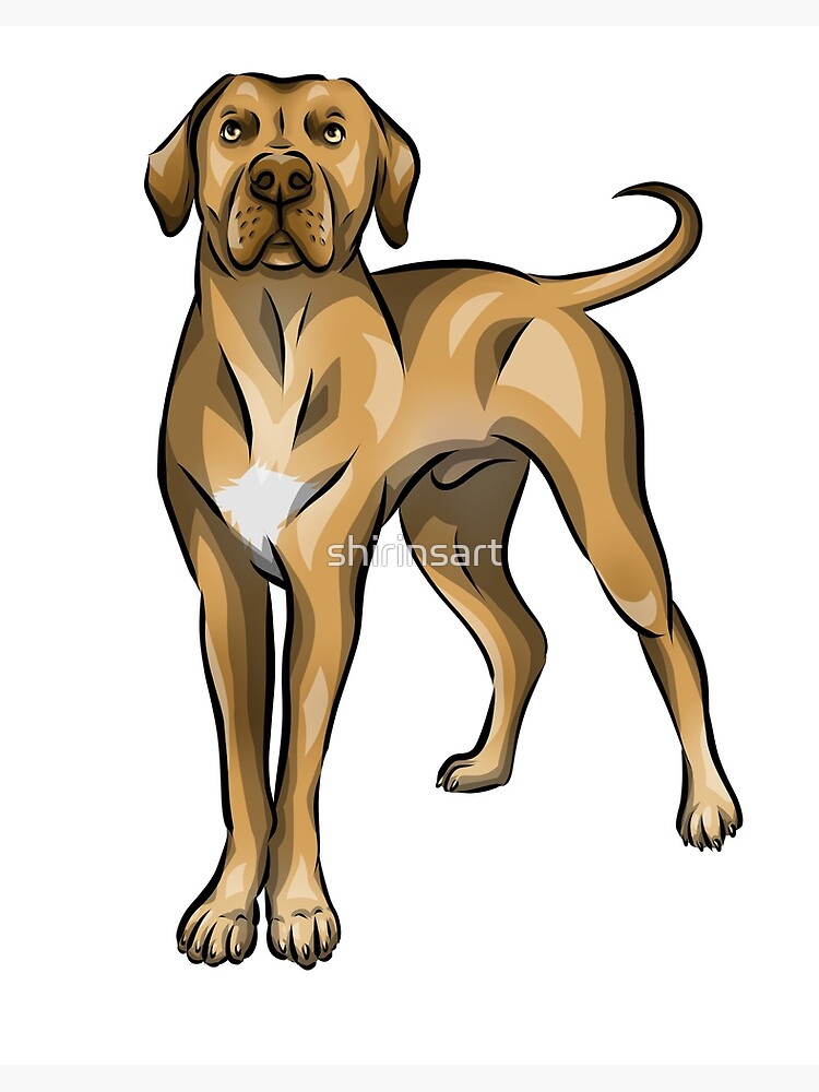 rhodesian ridgeback art