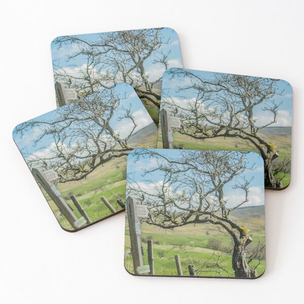 Item preview, Hawthorn and Keld, Swaledale designed and sold by Sandra Cockayne.