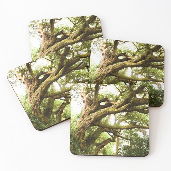 Item preview, A huge tree at a temple forest in Japan designed and sold by Anoebis.