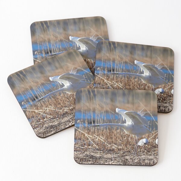 Item preview, Great egret spreding the wings designed and sold by Jouko Lehto Photography.