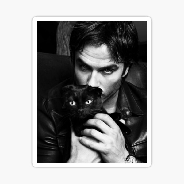Ian somerhalder Pegatina