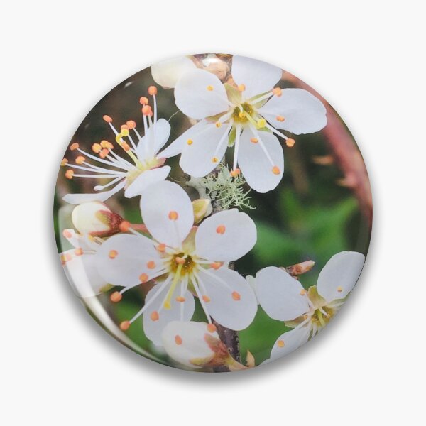 Item preview, Blackthorn Blossom designed and sold by deludedfaery.