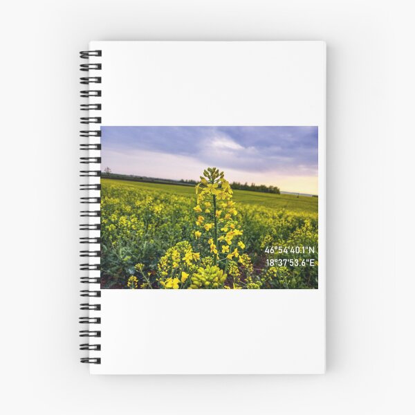 Item preview, Rapeseed - Rapeseed Flower Photo - Nature - GPS Coordinate designed and sold by marosi.