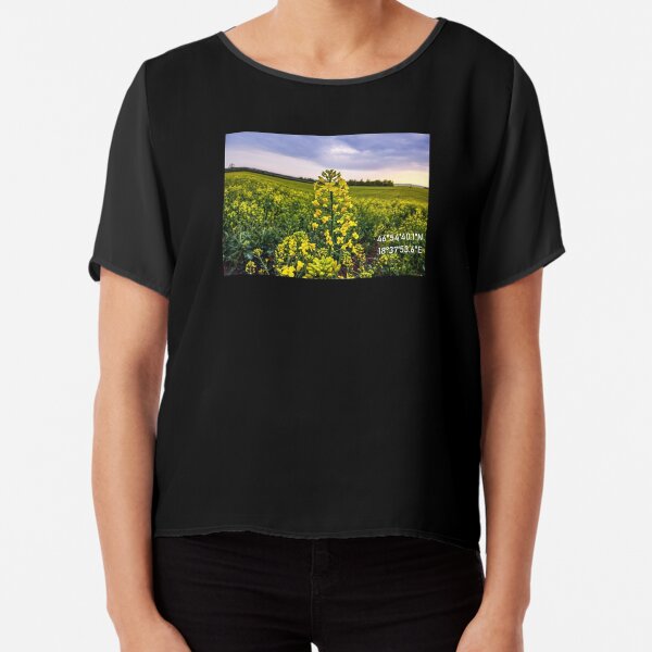 Rapeseed - Rapeseed Flower Photo - Nature - GPS Coordinate Chiffon Top
