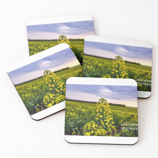 Item preview, Rapeseed - Rapeseed Flower Photo - Nature - GPS Coordinate designed and sold by marosi.