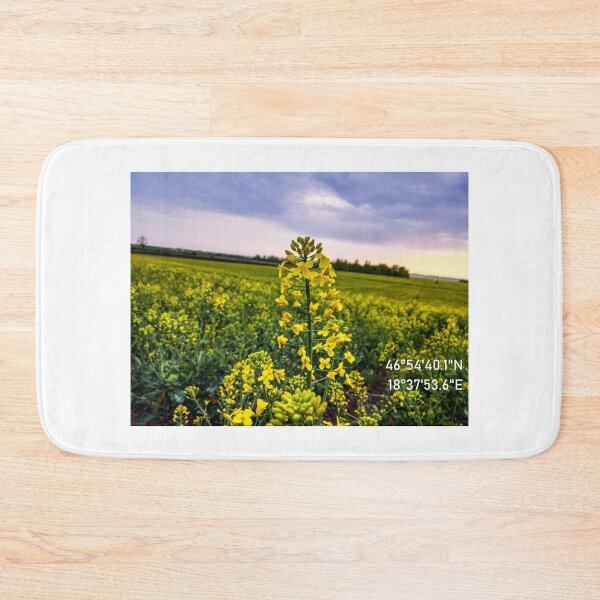 Item preview, Rapeseed - Rapeseed Flower Photo - Nature - GPS Coordinate designed and sold by marosi.