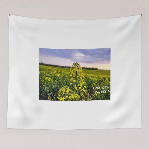 Item preview, Rapeseed - Rapeseed Flower Photo - Nature - GPS Coordinate designed and sold by marosi.
