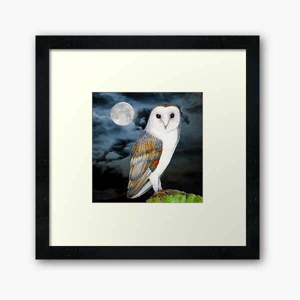 Barn Owl in Moonlight Watercolour Painting Artwork Framed Art Print