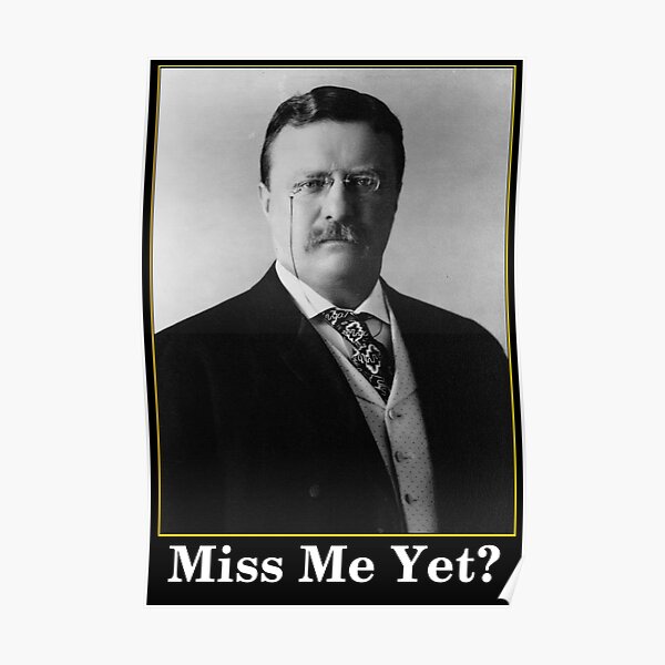 Miss Me Yet? President Theodore Roosevelt Poster