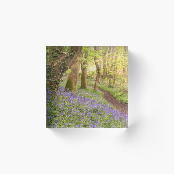 BLUE SWATHE Acrylic Block