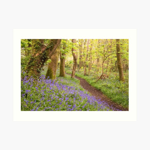 BLUE SWATHE Art Print